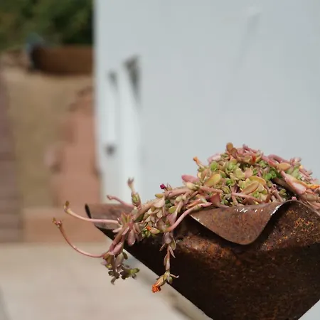 Honiggarten * דאהן
