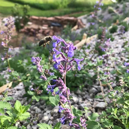 Apartment Honiggarten