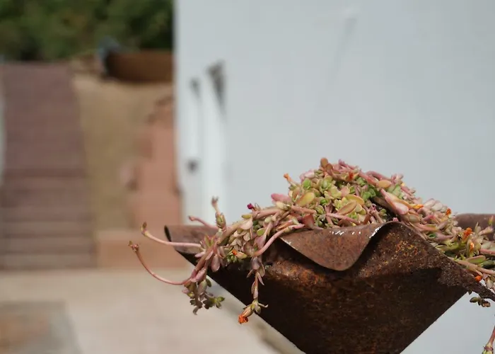 Honiggarten * ダーン