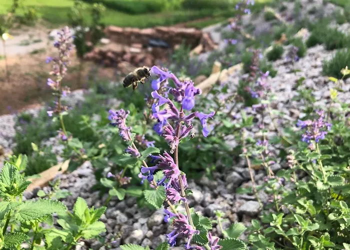 アパート Honiggarten